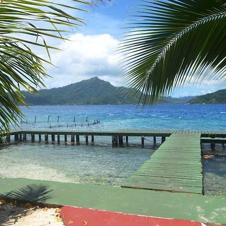 Pension Atger Vaitoare  外观 照片