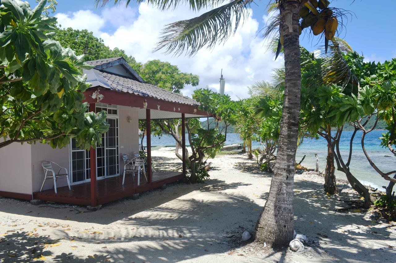 Pension Atger Vaitoare  外观 照片
